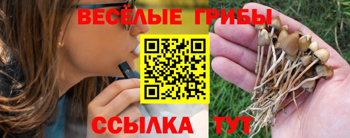 Заинск  Галлюциногенные грибы Magic Shrooms  Вход с VPN 